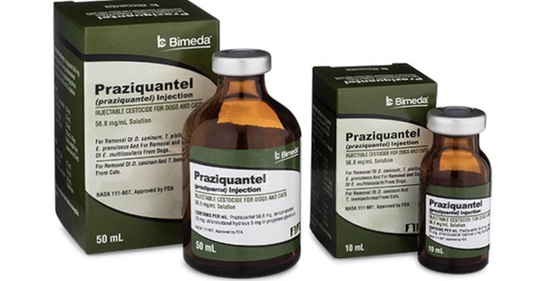 Praziquantel Bestellen Generika Deutschland